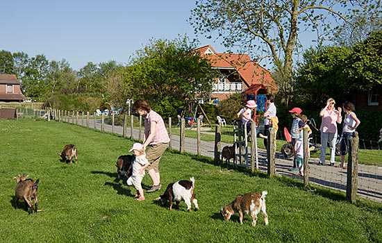 Ferienwohnungen an der Nordsee