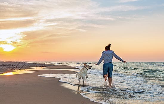 Ferienwohnungen an der Nordsee